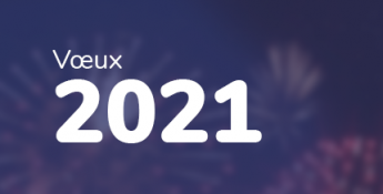 Les équipes du GIP SESAN vous souhaitent une excellente année 2021 !