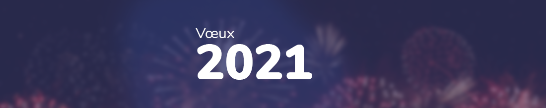 Les équipes du GIP SESAN vous souhaitent une excellente année 2021 !