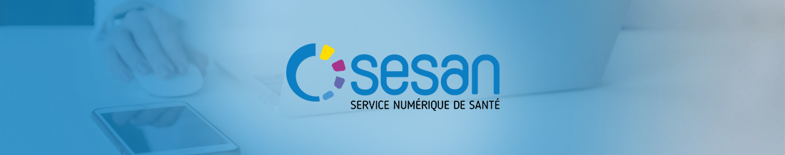 Transformation de SESAN en GIP : un an déjà !